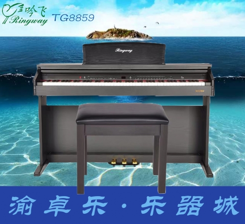 吟飞TG8859重锤电钢琴88键重锤专业演奏家用立式电钢数码电子钢琴
