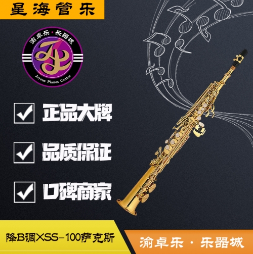 丰都星海管乐正品XSS-100型bB调高音萨克斯次中音萨克斯上低音萨克斯